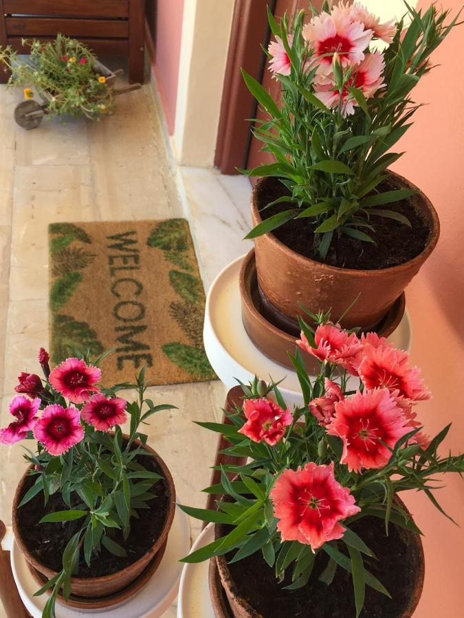אגיוס גיורגיוס Nikodimos Garden Studios מראה חיצוני תמונה